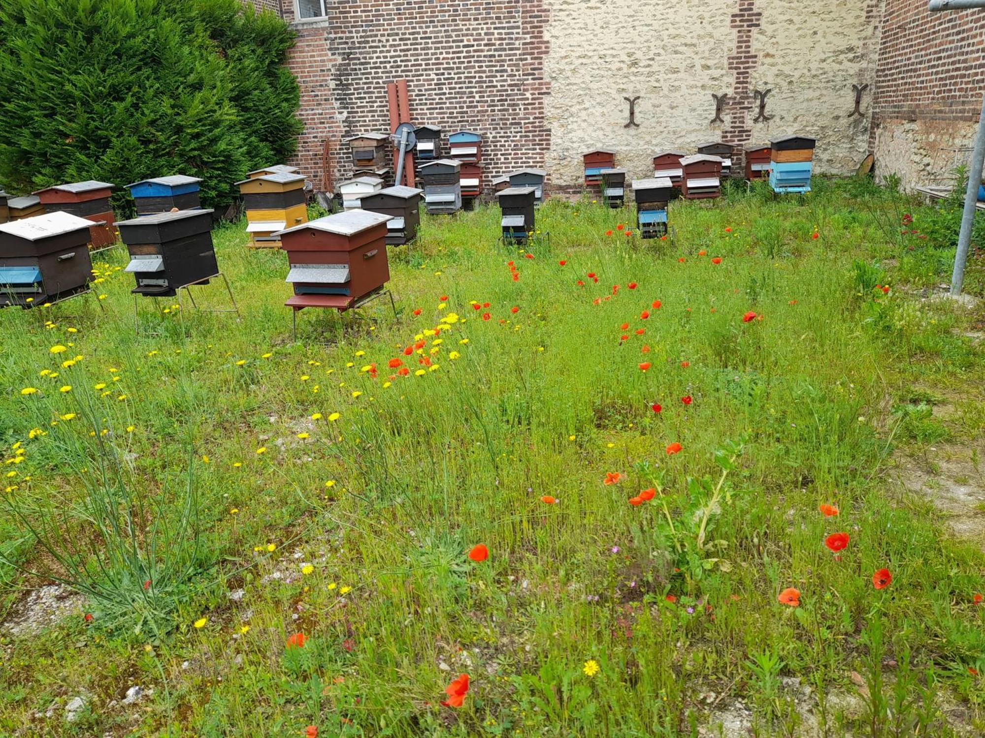 Danton Apartamento Troyes